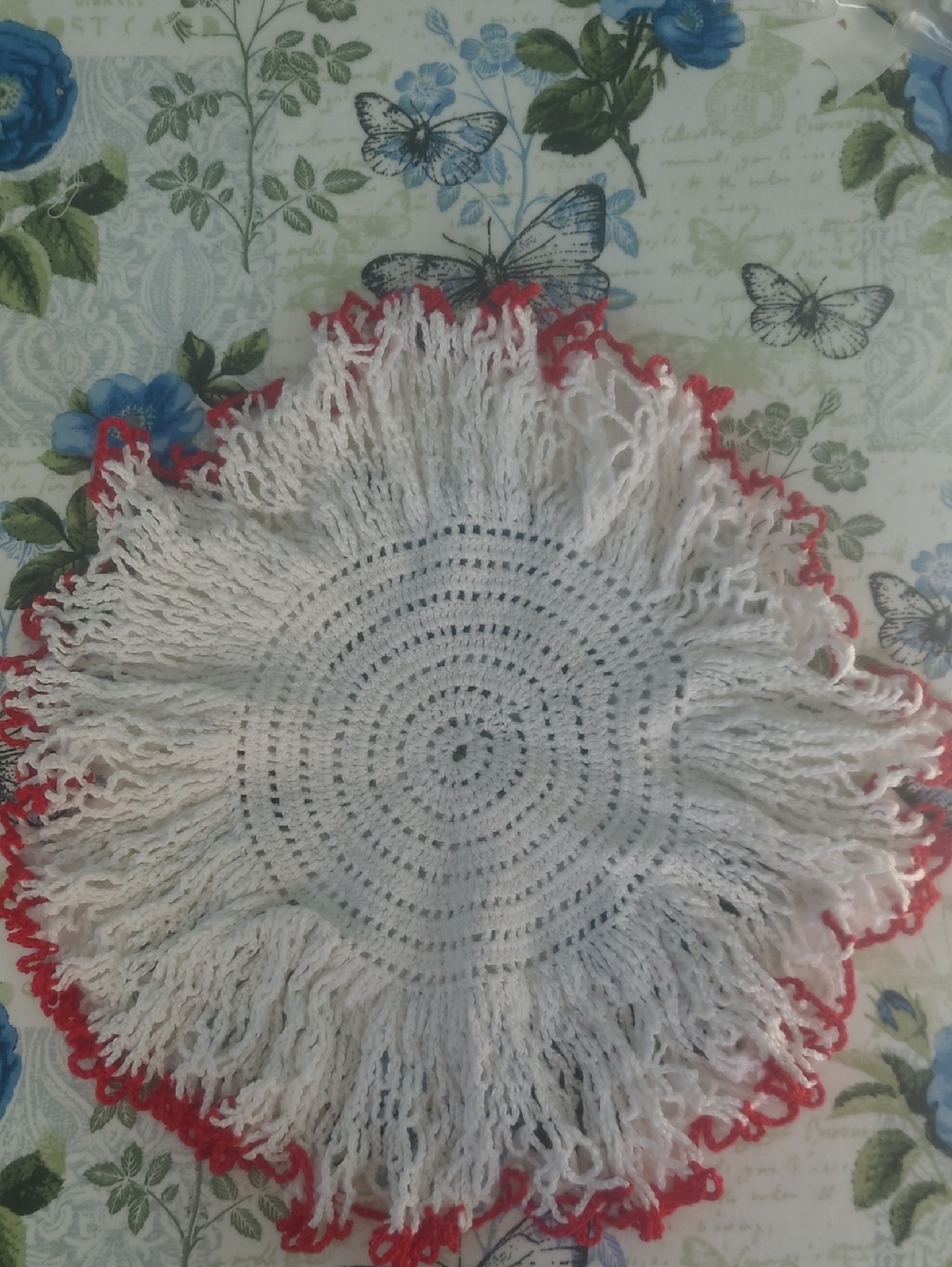 Vintage White Crochet Fringe Doily with Red Edge